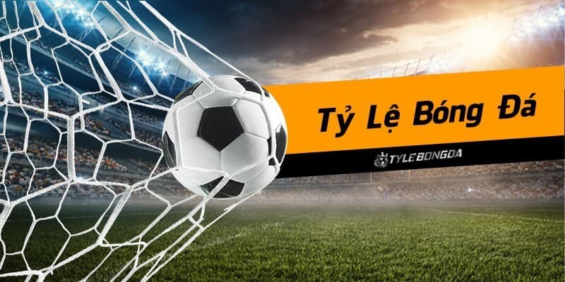 app cá cược bóng đá uy tín app cá cược bóng đá uy tín