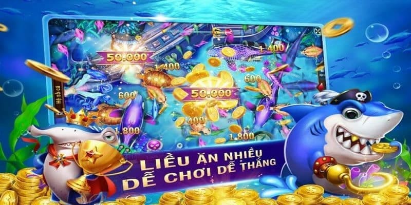 cầu bắn cá đẹp cầu bắn cá đẹp