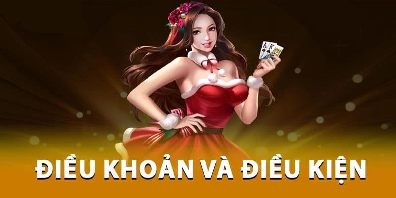 điều kiện điều khoản điều kiện điều khoản