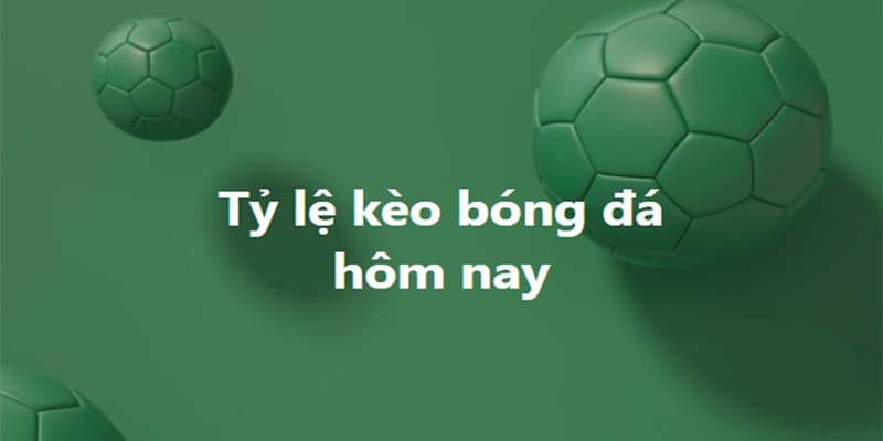 cá cược esports Việt Nam